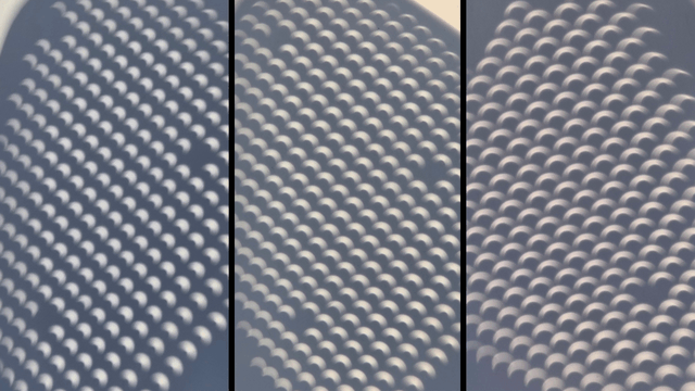The images from the colander